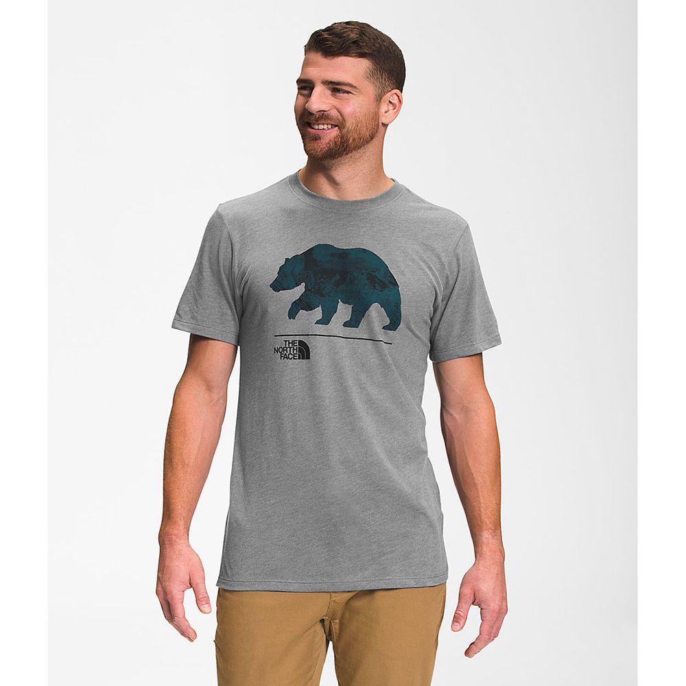 The North Face Bearscape Κοντό Μανίκι Ανδρικα T Shirt - Γκρι (HSTL48037)